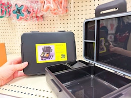 Adult Bento Box Sets, Only $7.60 at Target (4 Colors Available) card image