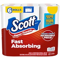 Scott Paper Towel Pack