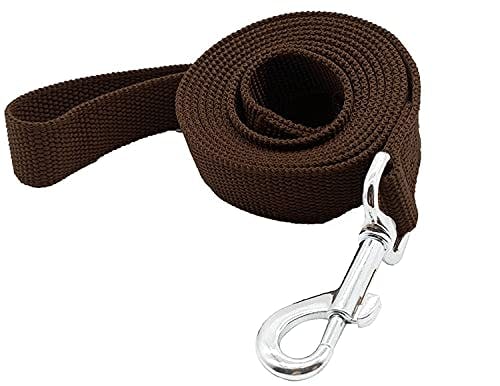 Dog Leash