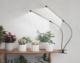 a grow light clipped on a table over plants