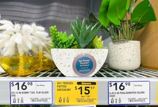 lowes terazzo potted succulents 2023 1678551637 1678551638 e1678551662916