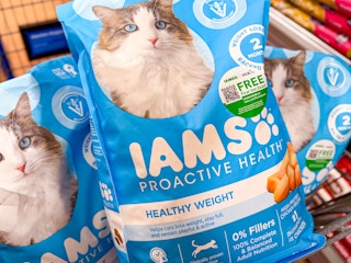 Iams cat food (close up shot) in Walmart shopping cart