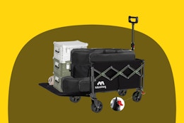Collapsible Wagon With Foldable Tailgate, $30 on Amazon card image