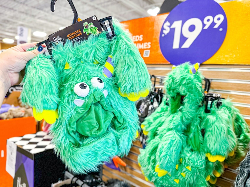 monster pet halloween costume