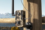 trail camera