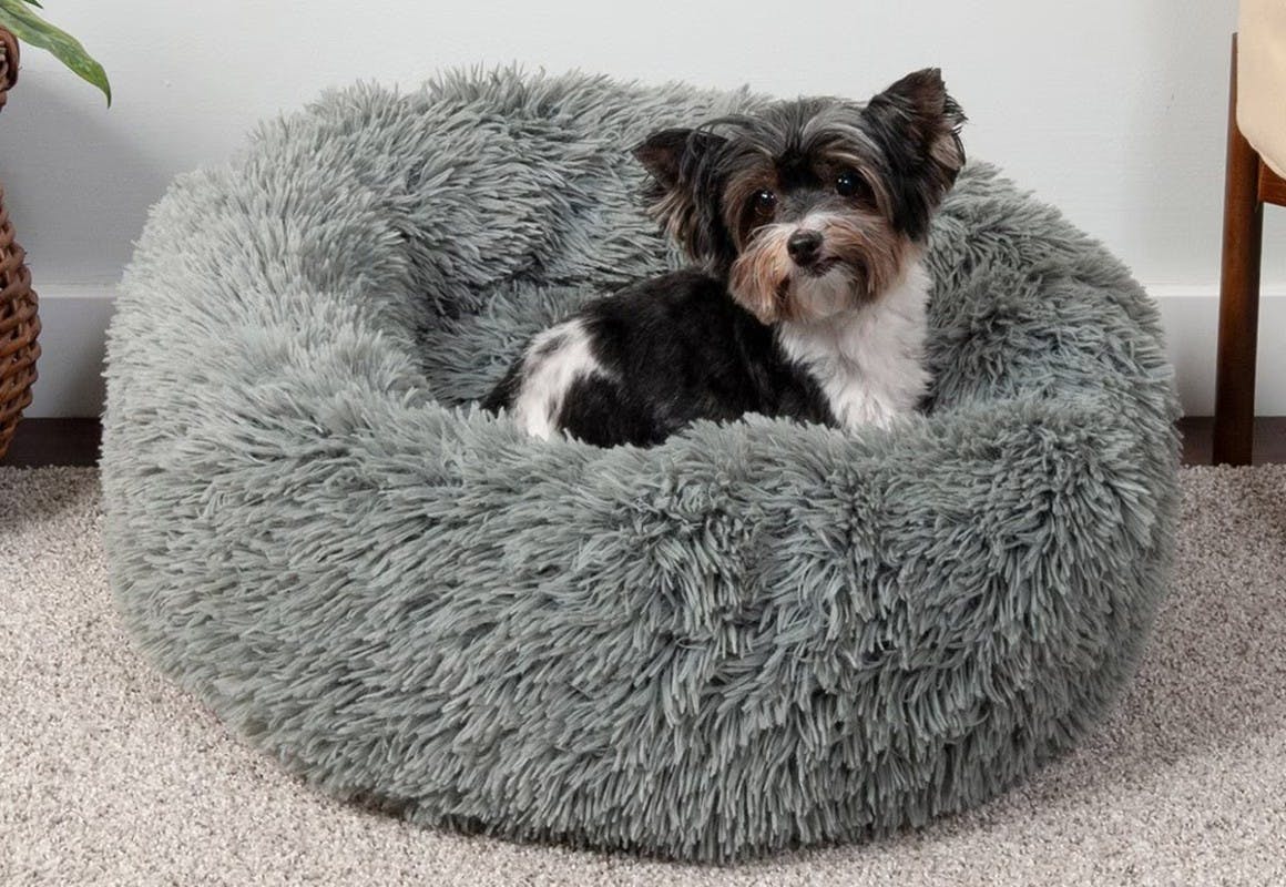 FurHaven Donut Pet Bed
