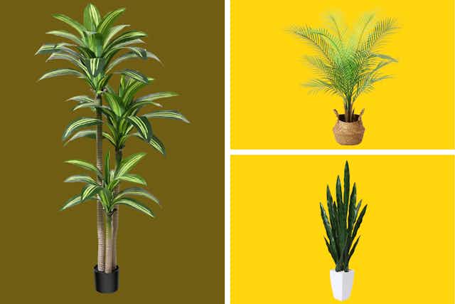 Artificial Plants, Starting at Just $30 on Walmart.com card image