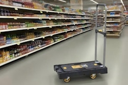 Folding Platform Hand Truck B0FGX5MFCM