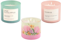 Distant Lands 3-Wick Candle