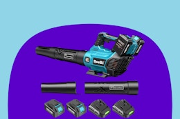 Cordless Leaf Blower With 2 Batteries, Just $80 on Amazon (Reg. $200) card image