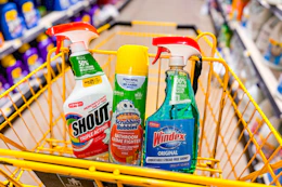 windex, shout, scrubbing bubbles products in shopping cart