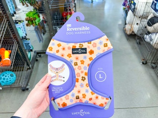 petco-clearance-lucy-dog-harness