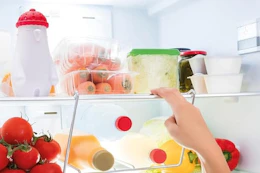 a polar bear on a fridge shelf