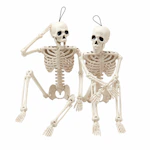 Halloween Skeleton Decor