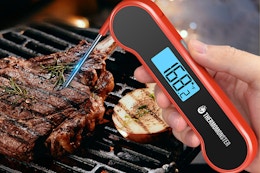 Digital Meat Thermometer