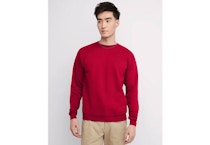Hanes Men's Sweatshirt
