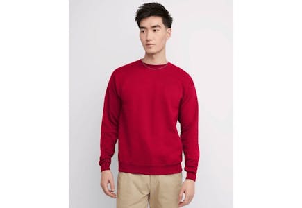 Hanes Men's Sweatshirt