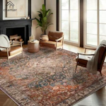 Area Rug