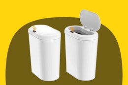 Walmart Flash Sale: Sensor Trash Can 2-Pack, Just $30 (Reg. $53) card image