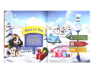 Ad Scan Image