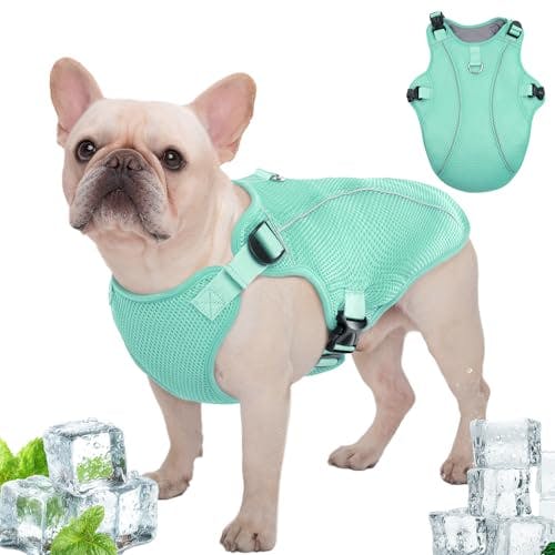 Dog Cooling Vest