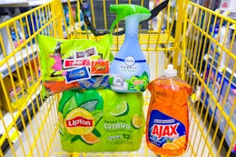 dollar general groceries in a cart