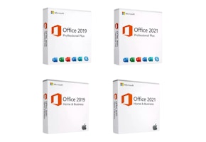 Microsoft Office 2021 or 2019