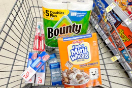 walgreens groceries in shopping cart