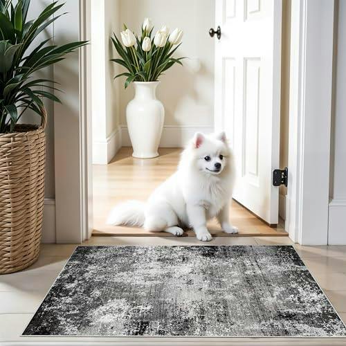 Washable Area Rug