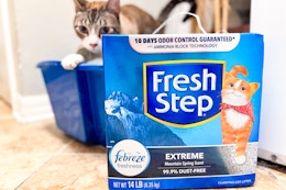 Fresh Step 37-Pound Cat Litter, as Low as $15.28 on Amazon card image