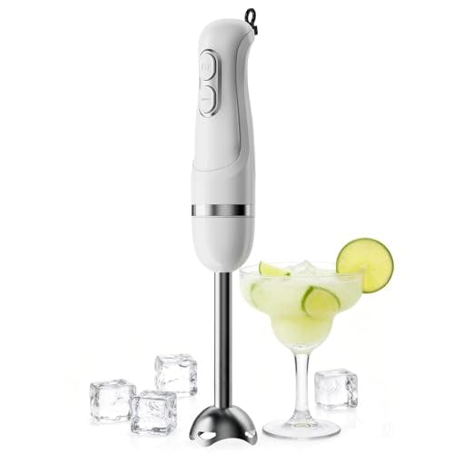 Immersion Blender