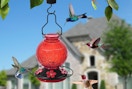 a red hummingbird feeder with hummingbirds around it