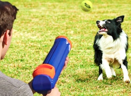 Nerf Dog Ball Blaster With Tennis Balls, as Low as $25 After Amazon Coupon