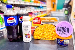 publix-shopping-haul-mush-pepsi-siggi-main-st-bistro