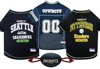 dog team jerseys and toy