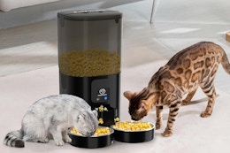 Highly Rated Smart Automatic Cat Feeder, Only $59.89 With Amazon Coupon card image