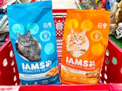 Iams Proactive Health Dry Cat Food, Only $8.07 Each With Target Circle card image