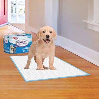 amazon pet pee pads 1643384875 1643384875