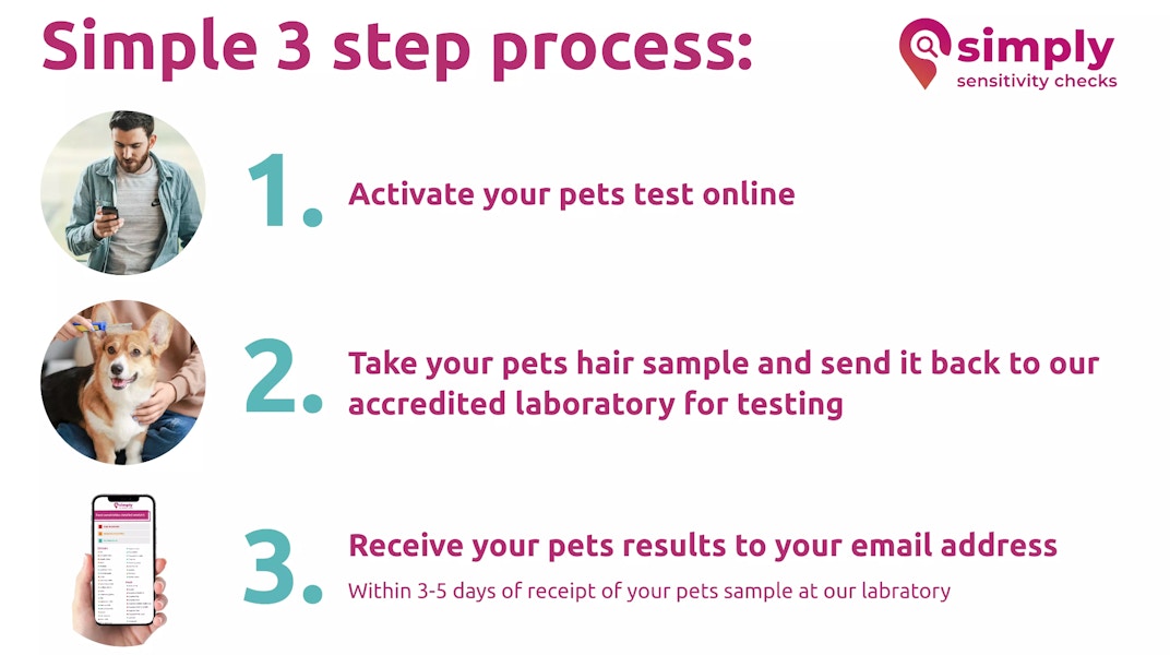 groupon pet tests