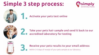 groupon pet tests
