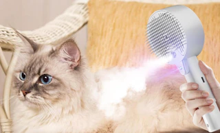 a person using a steam cat brush on a cat