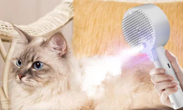 a person using a steam cat brush on a cat