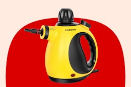 Limited Time Only: Score This $92 Steamer for Just $40 at Walmart card image