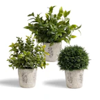 Artificial Plants 3-Pack