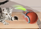 a cat chasing a ball