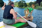 women on a paddle board with her dog