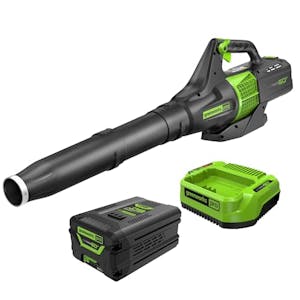Greenworks Cordless Leaf Blower