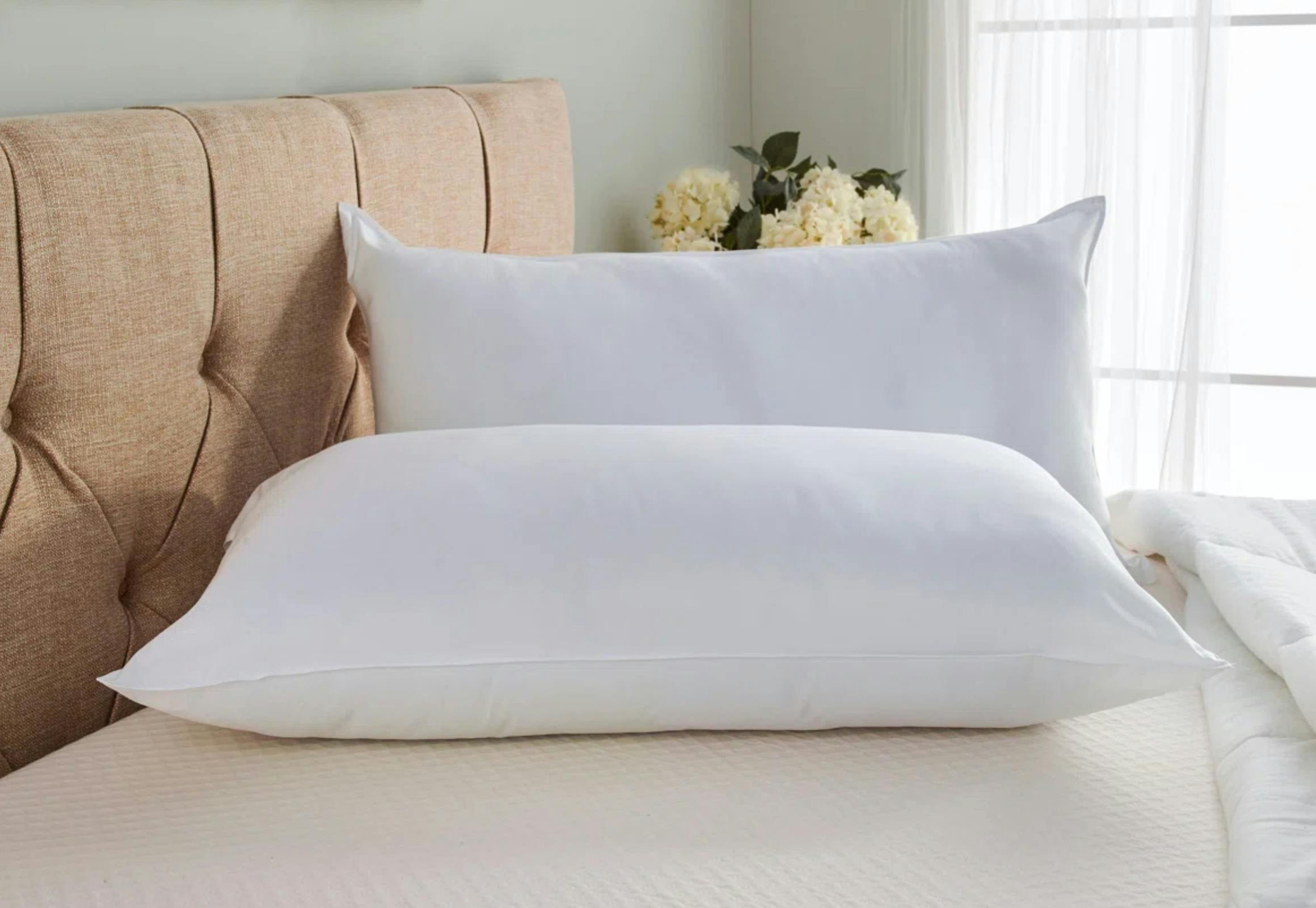 Wayfair Sleep Pillow Set