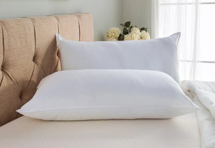 Wayfair Sleep Pillow Set