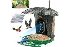 AI Smart Bird Feeder With Camera